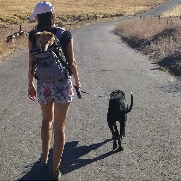 Craft Shorts - Picture 9 of 9